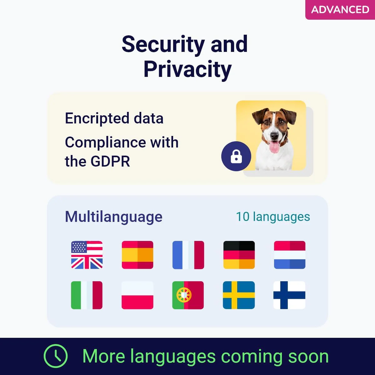 Koko Genetics Advanced DNA Test for Dogs, Analyzes & Identifies 400+ Breeds, Ancestry, Offers 175+ Genetic Health and Traits Reports, Lifetime Updates Included - Image 7