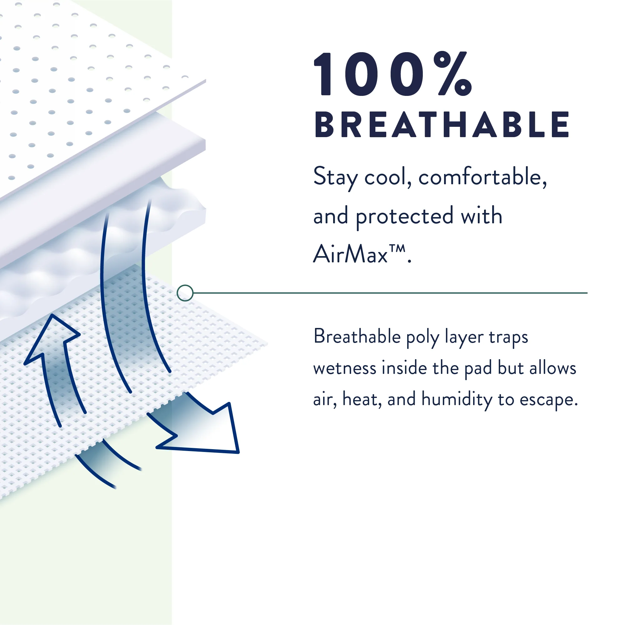 Prevail Unisex Daily Absorbent Underwear, Pull On with Tear Away Seams - Image 11